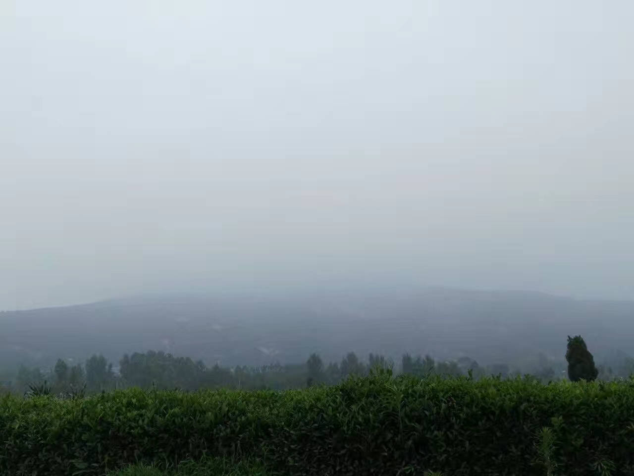 茶山遇雨